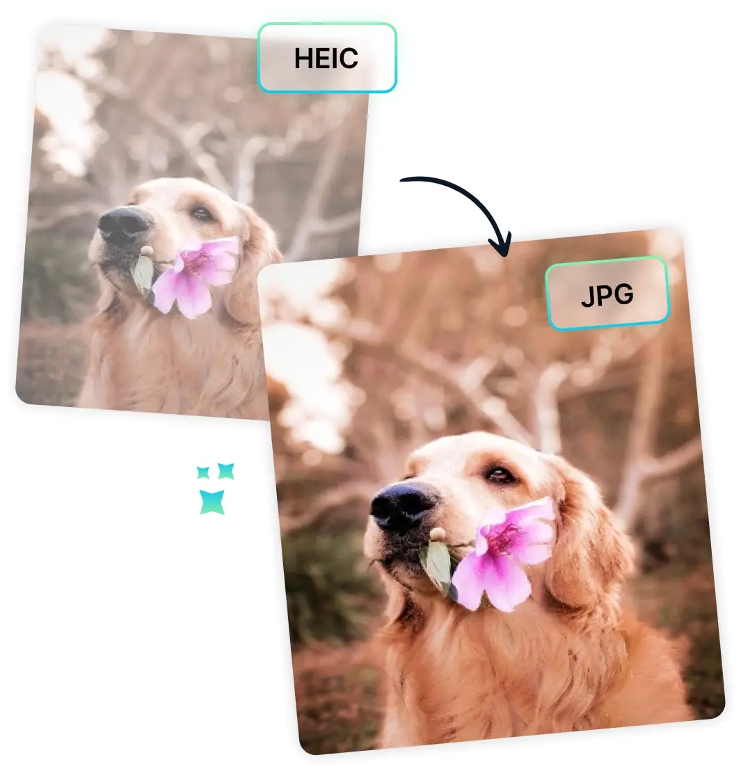 Magic Studio HEIC to JPG Converter: Compatible with All Your Devices